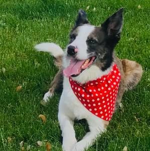 Meet your Posher, Diane